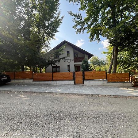 Casa De Vacanta Mogosa Baia-Sprie Esterno foto