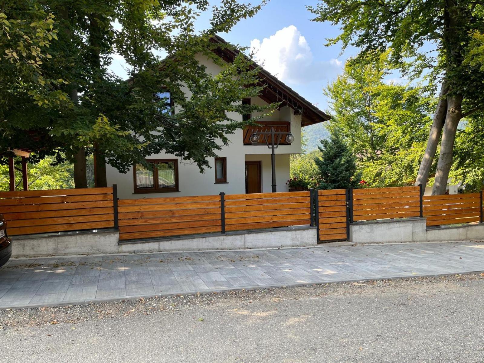Casa De Vacanta Mogosa Baia-Sprie Esterno foto