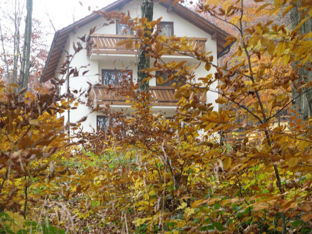 Casa De Vacanta Mogosa Baia-Sprie Esterno foto