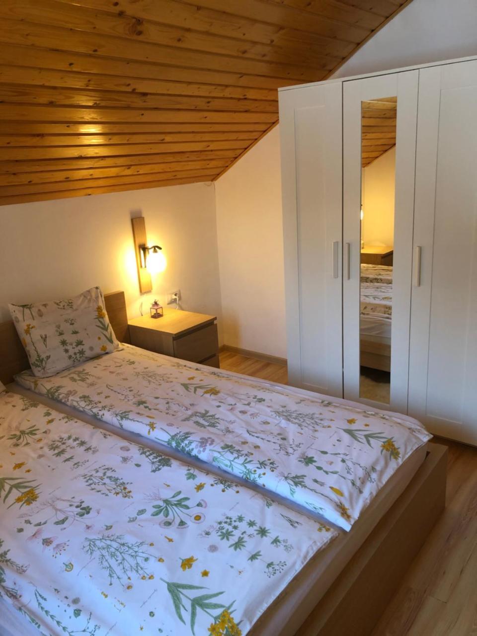 Casa De Vacanta Mogosa Baia-Sprie Esterno foto