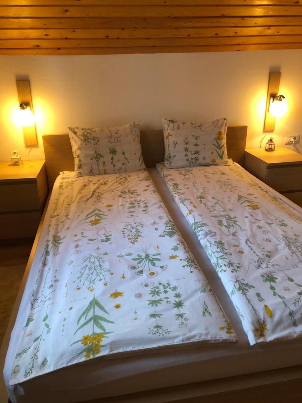 Casa De Vacanta Mogosa Baia-Sprie Esterno foto