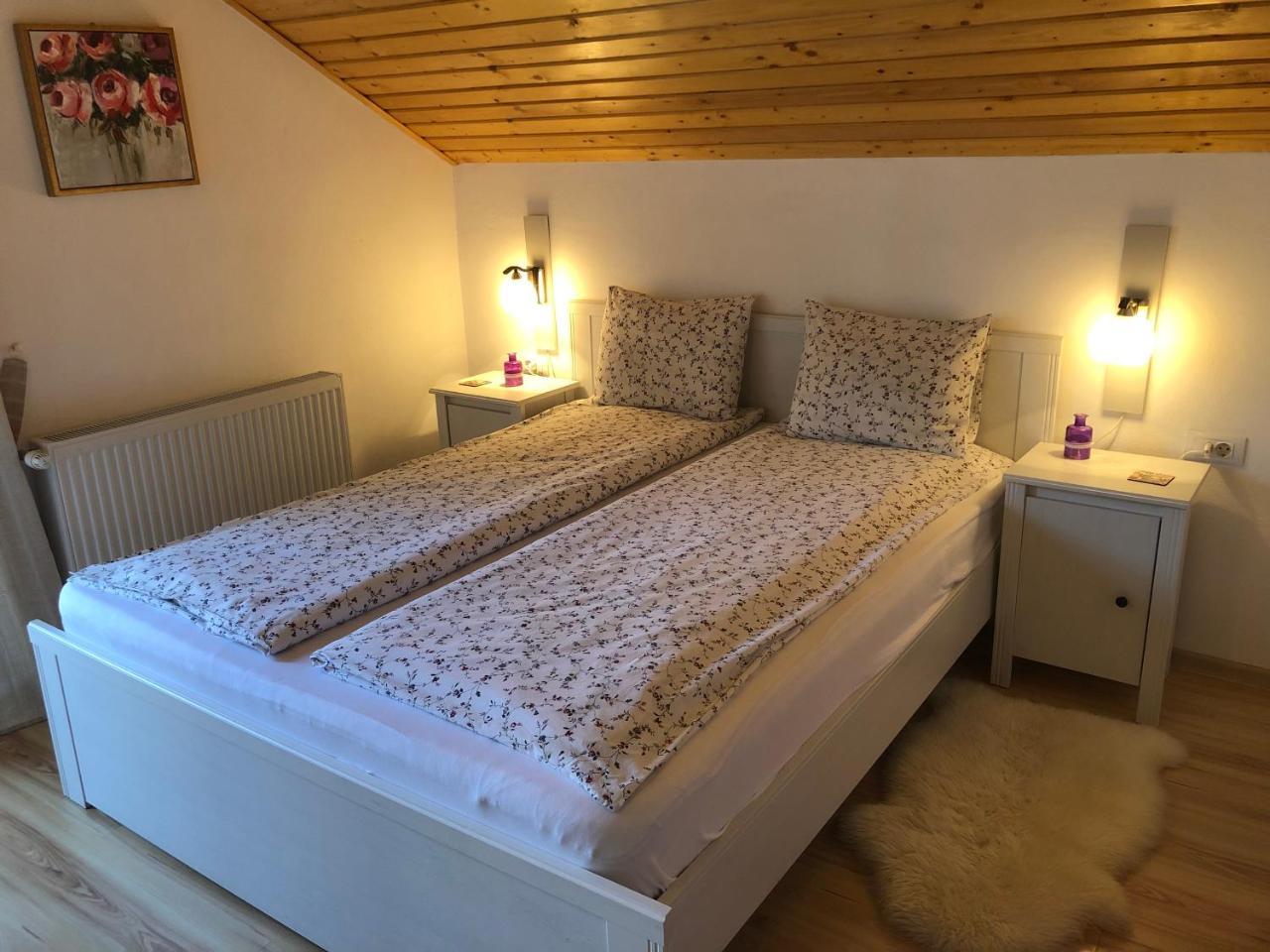Casa De Vacanta Mogosa Baia-Sprie Esterno foto