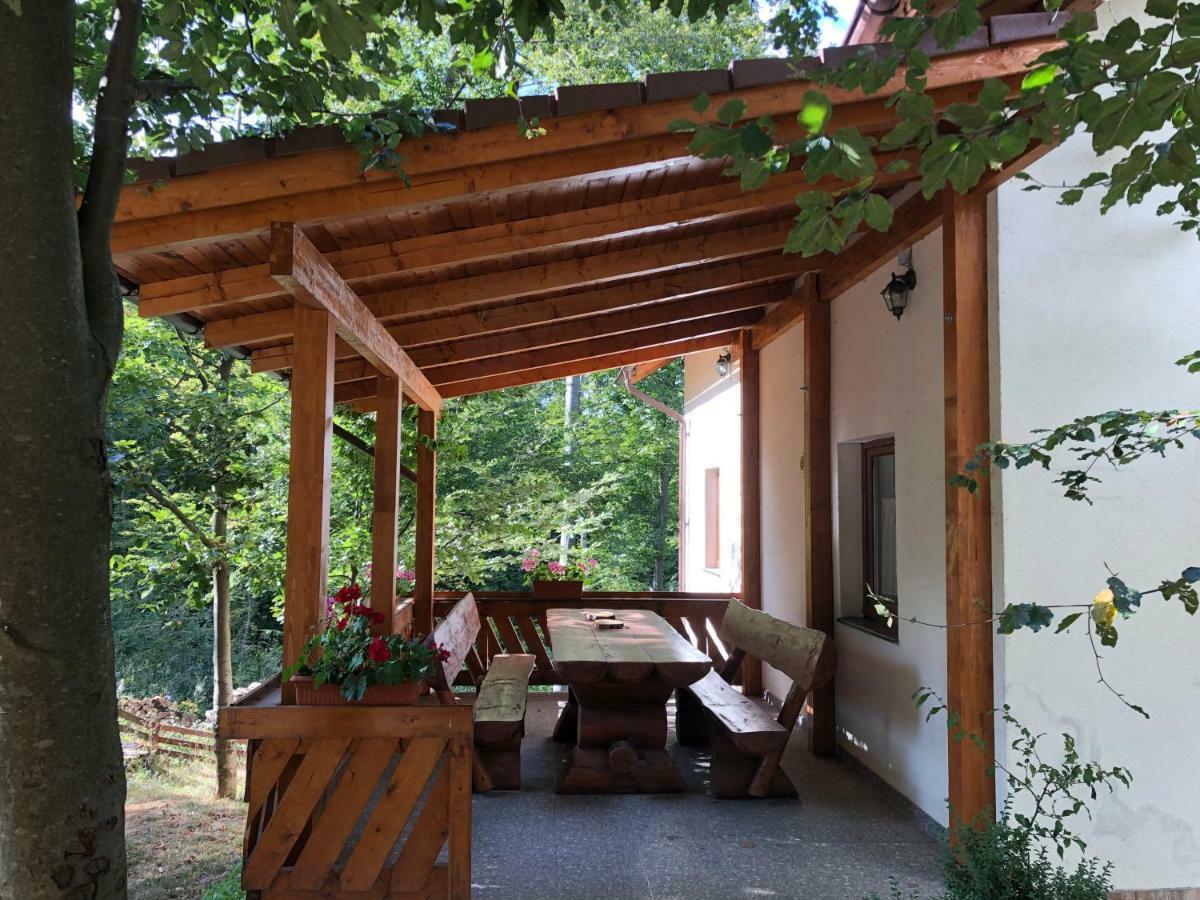 Casa De Vacanta Mogosa Baia-Sprie Esterno foto