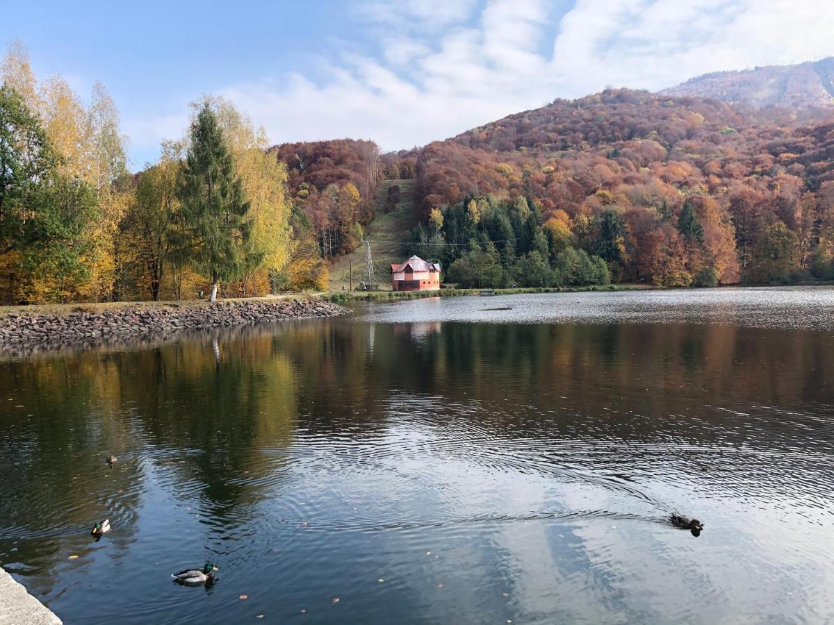 Casa De Vacanta Mogosa Baia-Sprie Esterno foto
